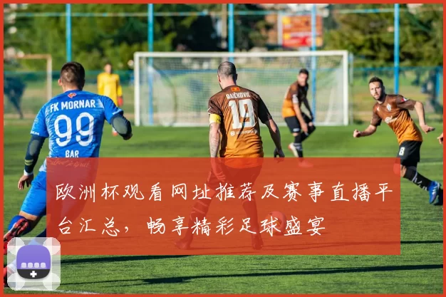 欧洲杯观看网址推荐及赛事直播平台汇总，畅享精彩足球盛宴
