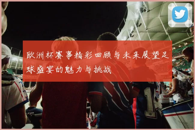 欧洲杯赛事精彩回顾与未来展望足球盛宴的魅力与挑战