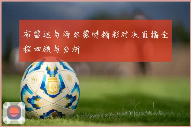 布雷达与海尔蒙特精彩对决直播全程回顾与分析