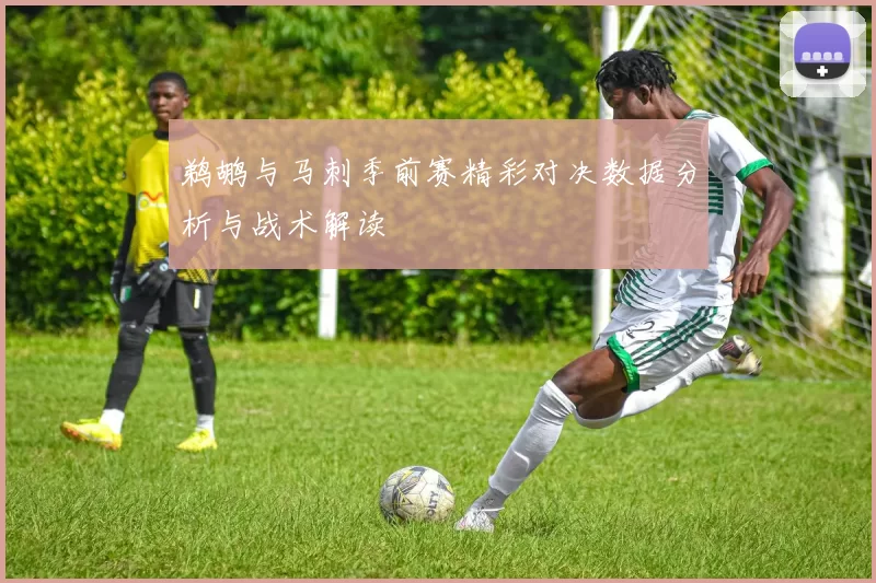 鹈鹕与马刺季前赛精彩对决数据分析与战术解读