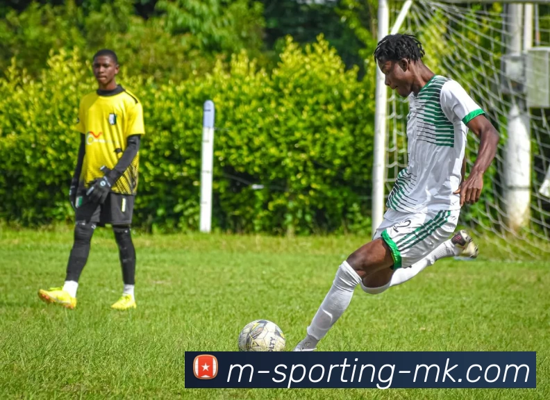 MK体育服务体系